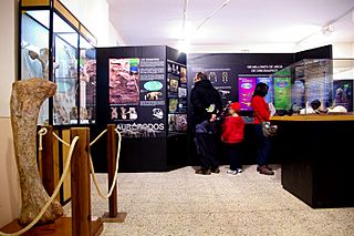 Sala paleo saurópodos.jpg