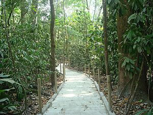 Archivo:Sendero. Parque Nacional Carara. Costa Rica