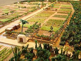 Ses Feixes Vistor Centre 2013.jpg