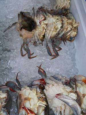 Archivo:Soft-shell crab on ice