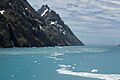 South Georgia Island (4172630239)