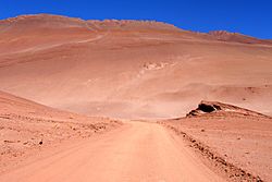 Archivo:Sur la Route provinciale 27, avant Tolar Grande, Argentine.