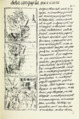 The Florentine Codex- Battle
