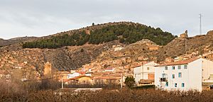 Torrijo de la Cañada, Zaragoza, España, 2015-12-29, DD 02.JPG