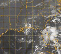Archivo:Tropical Depression 1025kts-1005mb-304N-867W.100pc