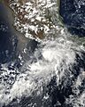 Tropical Storm Aletta (2006)