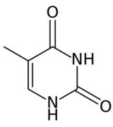 Tymina