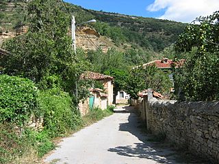 Villaescusa de Ebro.jpg