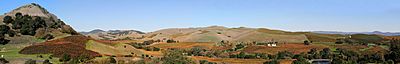 Archivo:Vineyards of Napa Valley panorama