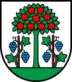 Wappen Magden AG