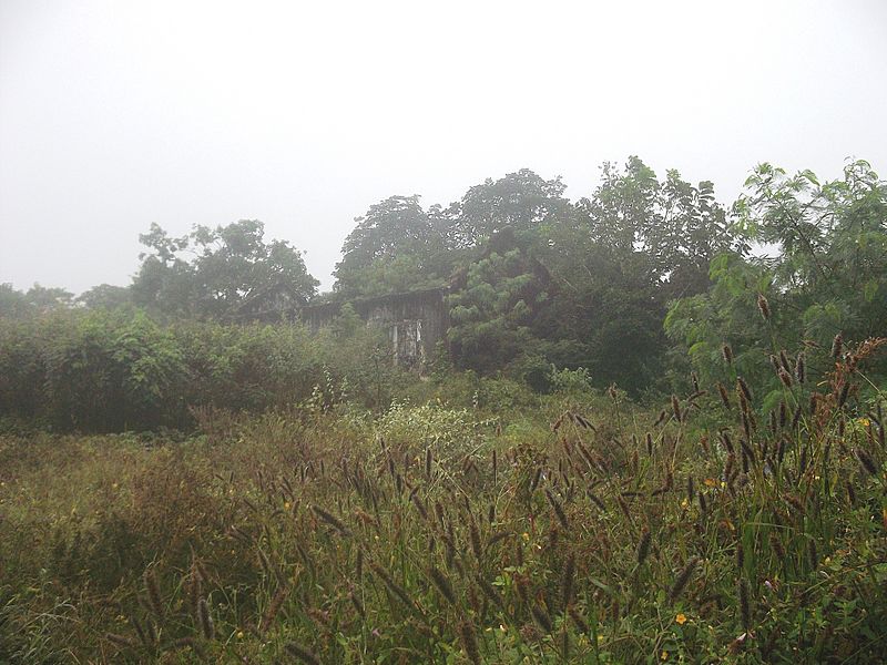 Xcucul Sur, Yucatán (04)