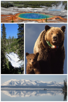 YellowstoneNationalParkCollage.png