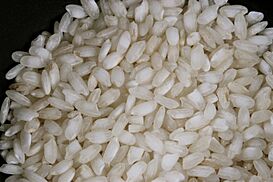 Arborio Rice (3769693295).jpg