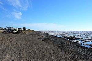 Archivo:Arctic Shore at Barrow Alaska