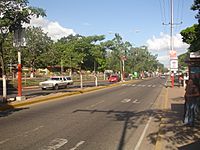 Archivo:Avenida Bicentenario de Maturín