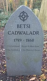 Archivo:Betsi Cadwaladr, grave