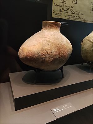 Archivo:Botella cerámica lisa. Calcolítico. El Garcel (Antas)