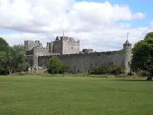 Archivo:Cahir- castle- Ireland.