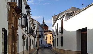 Archivo:Calle de Ntra. Sra. de las Nieves - Almagro 002