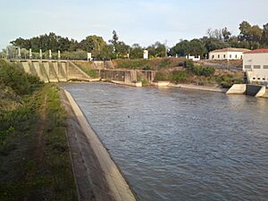 Archivo:Canal del Bajo Guadalquivir, Palma del Río