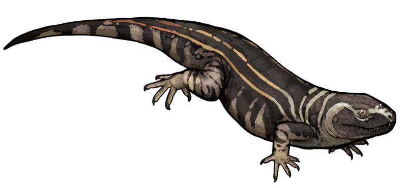 Carbonodraco lundi