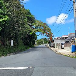 Carretera PR-173, Cidra, Puerto Rico (1).jpg