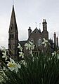Cathedral of the isles