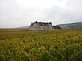 Chateau du clos de Vougeot 2