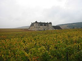Archivo:Chateau du clos de Vougeot 2