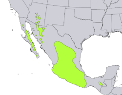 Distribución natural en Norteamérica.