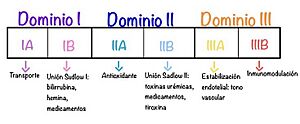 Archivo:Dominios y subdominios con sus respectivas funciones