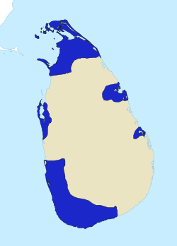 Dutch Ceylon.svg