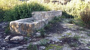 Archivo:El pozo romano de Los Caveros