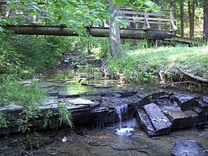 Archivo:Jefferson Memorial Forest-Bee Lick Creek