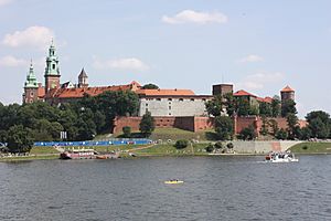 Archivo:Krakow, Wawel Castle (6381659163)