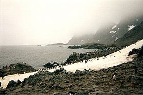 Archivo:Laurie Island in the South Orkney Islands