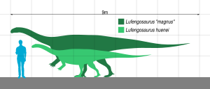 Archivo:Lufengosaurus scale
