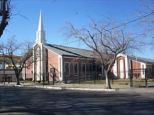 Archivo:Mormon en chimba