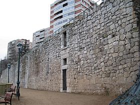 Muro Palacio de la Ribera