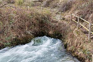 Archivo:Nacimiento del río Queiles, Vozmediano, Soria, España, 2015-01-02, DD 001