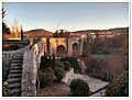 Olivares de duero 78