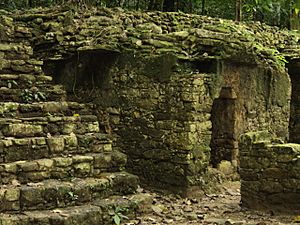 Archivo:Palenque, Jungle Ruins