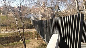 Archivo:Pasarela de Sant Pere vista general