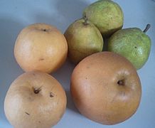 Pears shinko niitaka lafrance