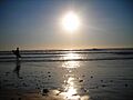 Playapalmarsurf