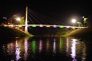 Archivo:PonteBra-Bol-WP