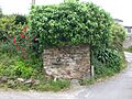 Pozo inselmo