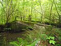 Puente sobre el rio Mampodre, en el camino que une los pueblos de Granda y Vallobil , Parres ( Asturias ) - panoramio