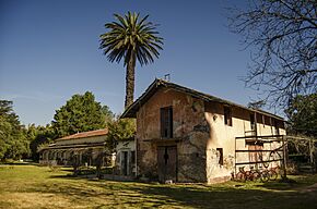 Quinta Capurro 3 by velthov.JPG