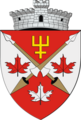 ROU SV Hantesti CoA